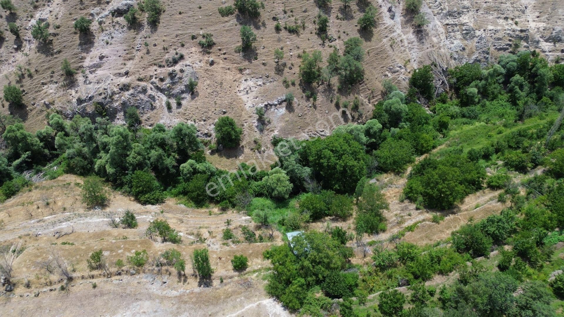 Meram Çukurçimen De 704 M2 Müstakil Tapulu Bahçe - Görsel 2