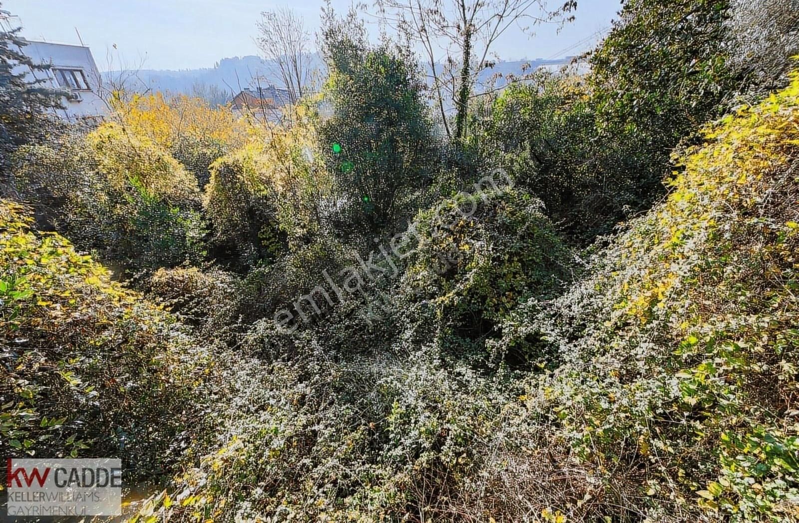 Zehra Hanım Köşkü Beylerbeyin De 2.450m² Bahçeli Boğaz Manzaralı - Görsel 4