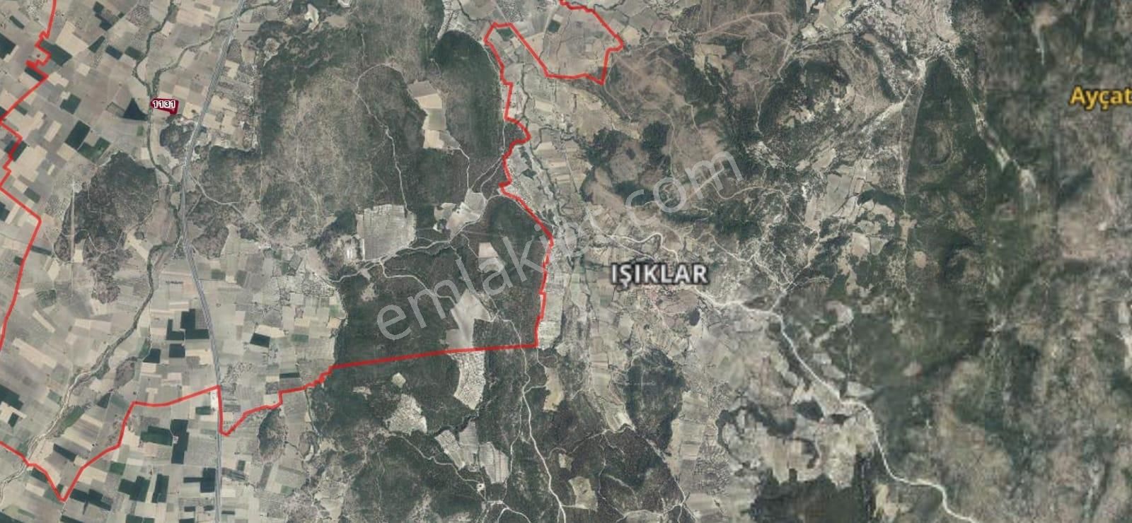 Mir'den Manisa Gelenbe'de Getirisi Yüksek Satılık Zeytinlik - Görsel 19