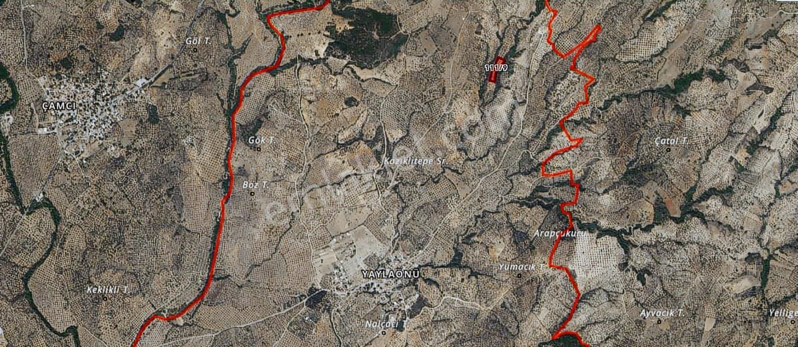 Mir'den Balıkesir Edremit Yaylaönü'de 2 Parsel Satılık Zeytinlik - Görsel 24
