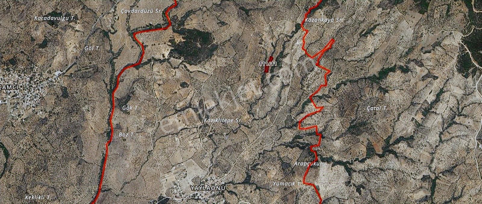 Mir'den Balıkesir Edremit Yaylaönü'de 2 Parsel Satılık Zeytinlik - Görsel 5