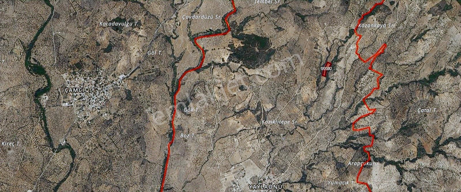 Mir'den Balıkesir Edremit Yaylaönü'de 2 Parsel Satılık Zeytinlik - Görsel 23