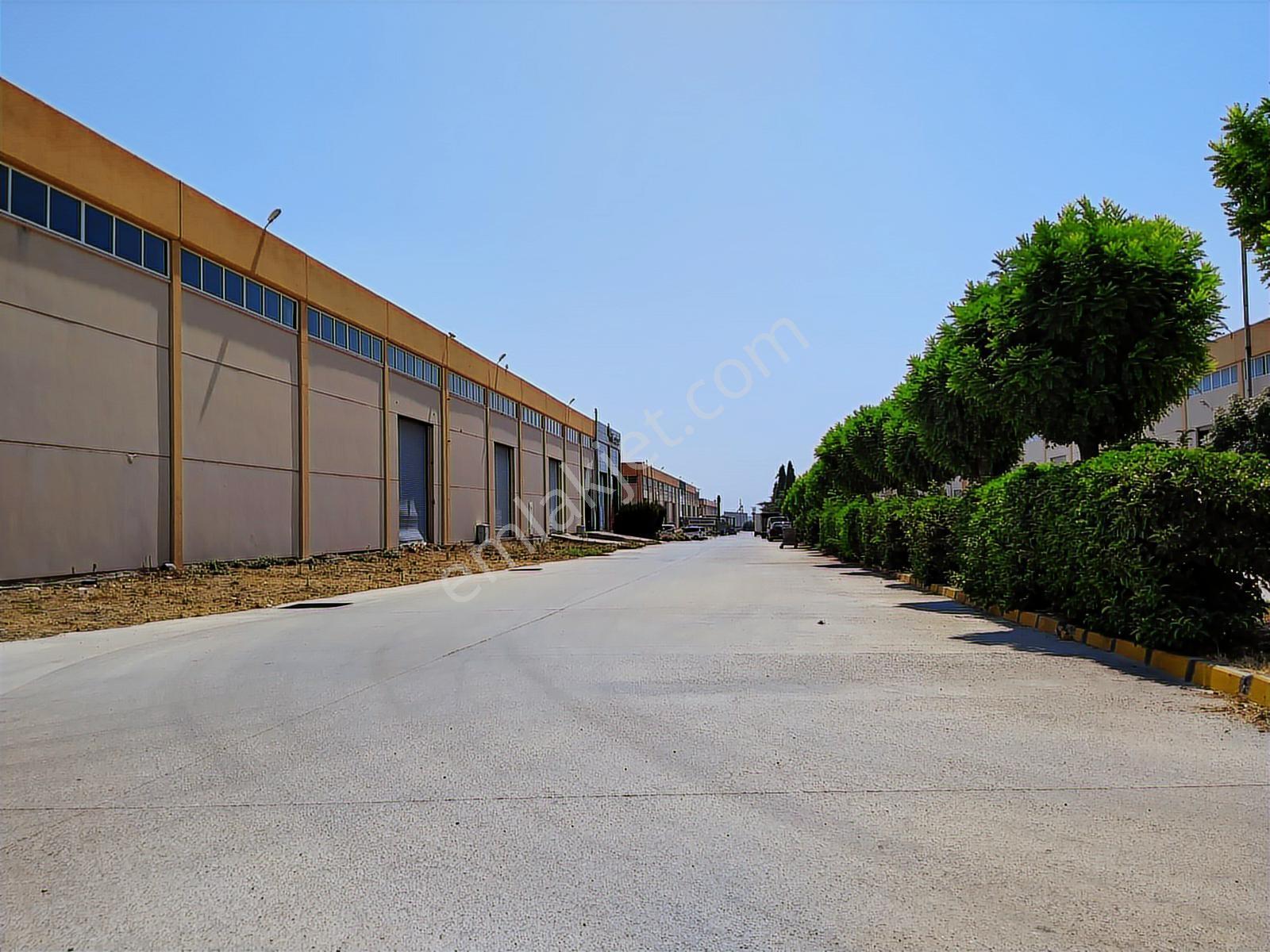 İzmir Torbalı Pancar Çetmen Sanayi 500 M2 Satılık Depo Fabrika - Görsel 5