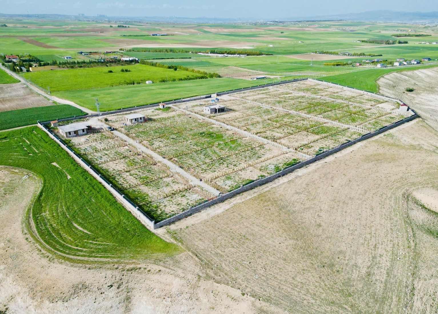 Gölbaşı Topaklı Da 464m2 Hobi Bahçesi Karadeniz Emlaktan