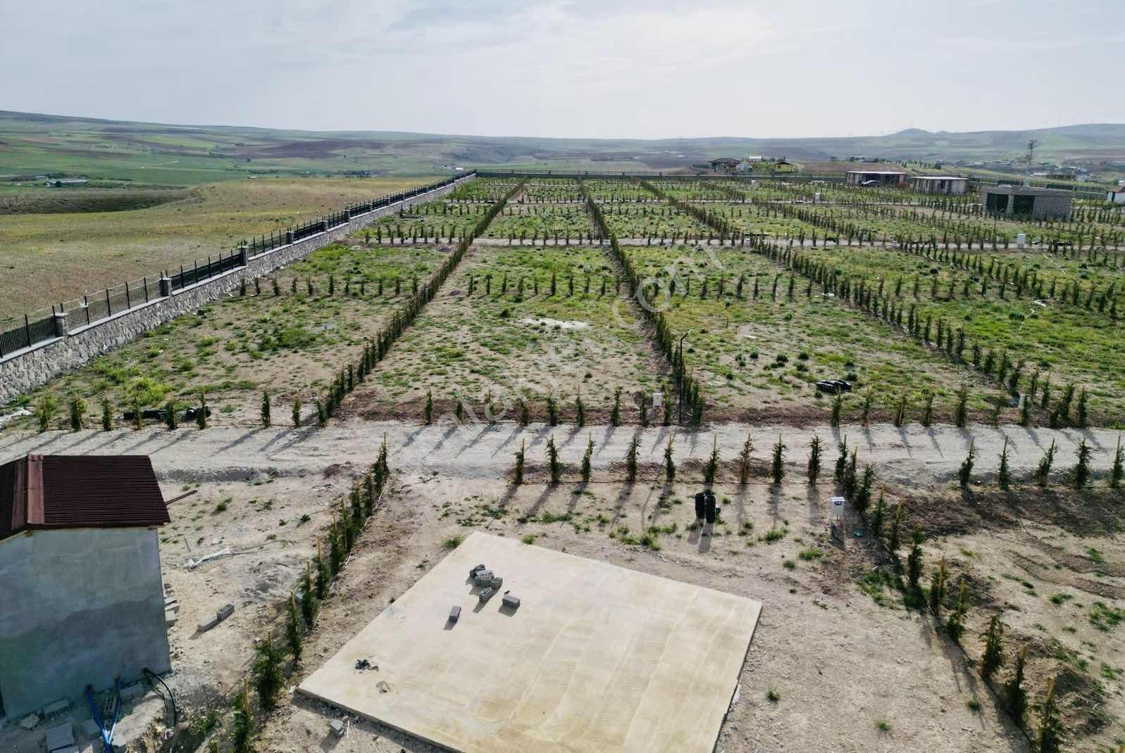 Gölbaşı Topaklı Da 464m2 Hobi Bahçesi Karadeniz Emlaktan - Görsel 15