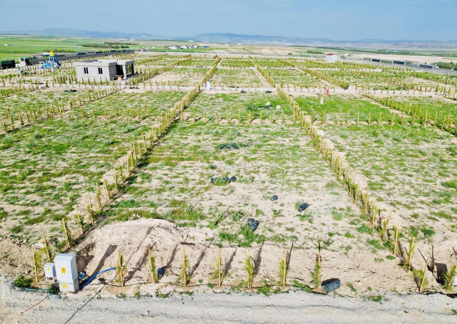 Gölbaşı Topaklı Da 464m2 Hobi Bahçesi Karadeniz Emlaktan - Görsel 13