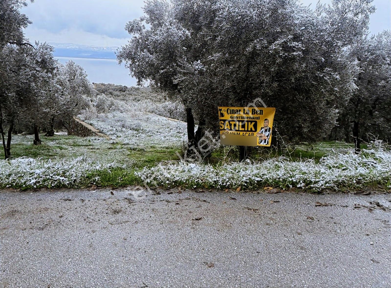 Acill !!! Göl Manzaralı Asfalt Kenarı Satılık Kupon Yer - Görsel 5