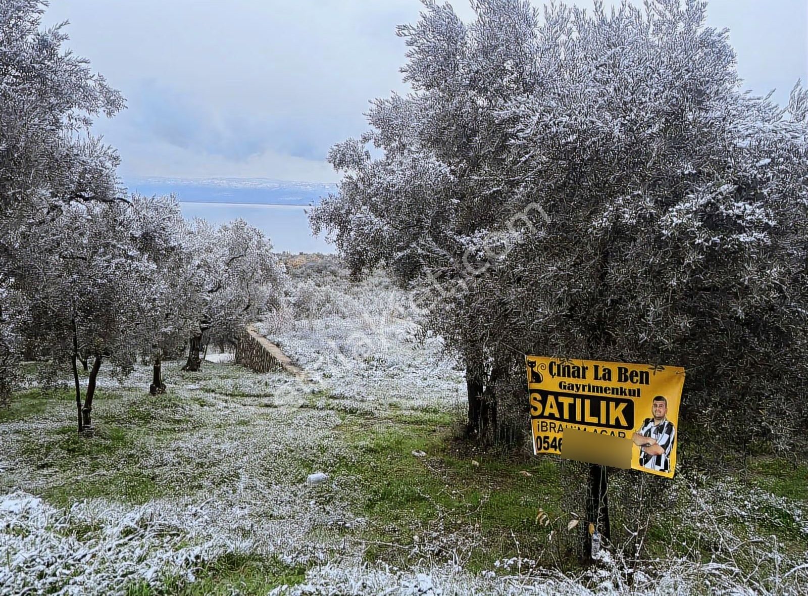 Acill !!! Göl Manzaralı Asfalt Kenarı Satılık Kupon Yer - Görsel 9