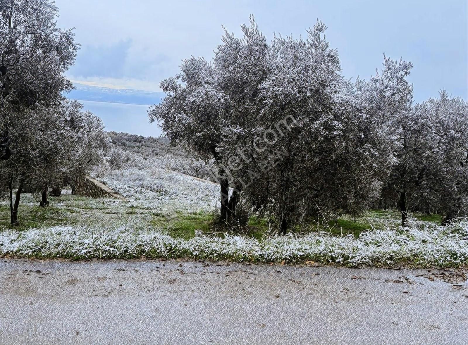 Acill !!! Göl Manzaralı Asfalt Kenarı Satılık Kupon Yer - Görsel 8