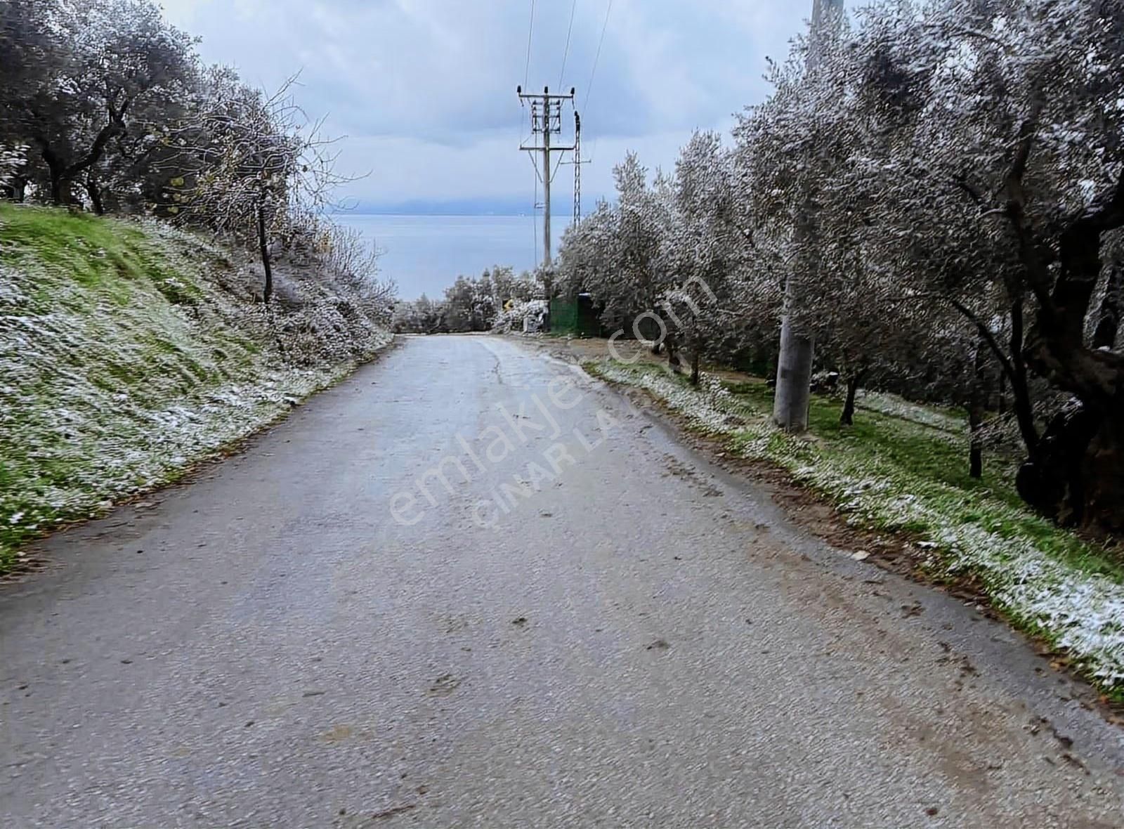 Acill !!! Göl Manzaralı Asfalt Kenarı Satılık Kupon Yer - Görsel 2