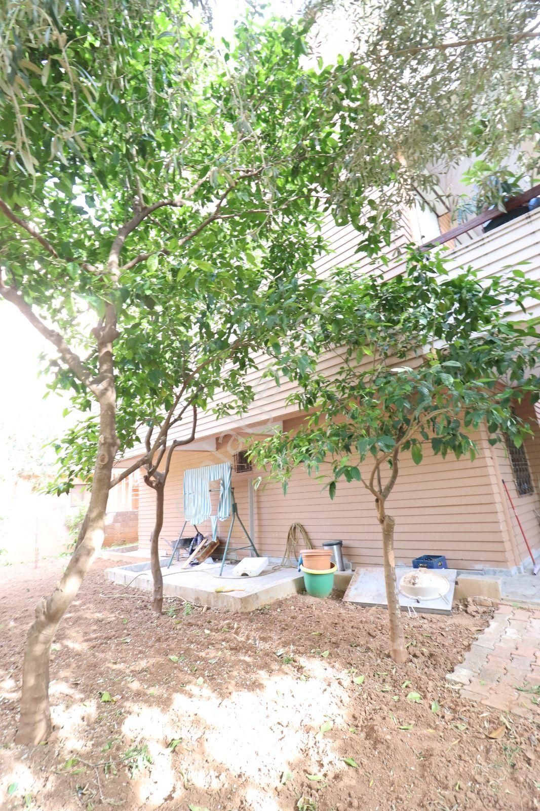 Lara Barınaklar Komple Satılık Bina - Görsel 14