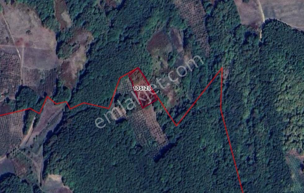 Kocaeli Kandıra Çakmaklar Köyünde 2.893 M² Tarla Satılıktır