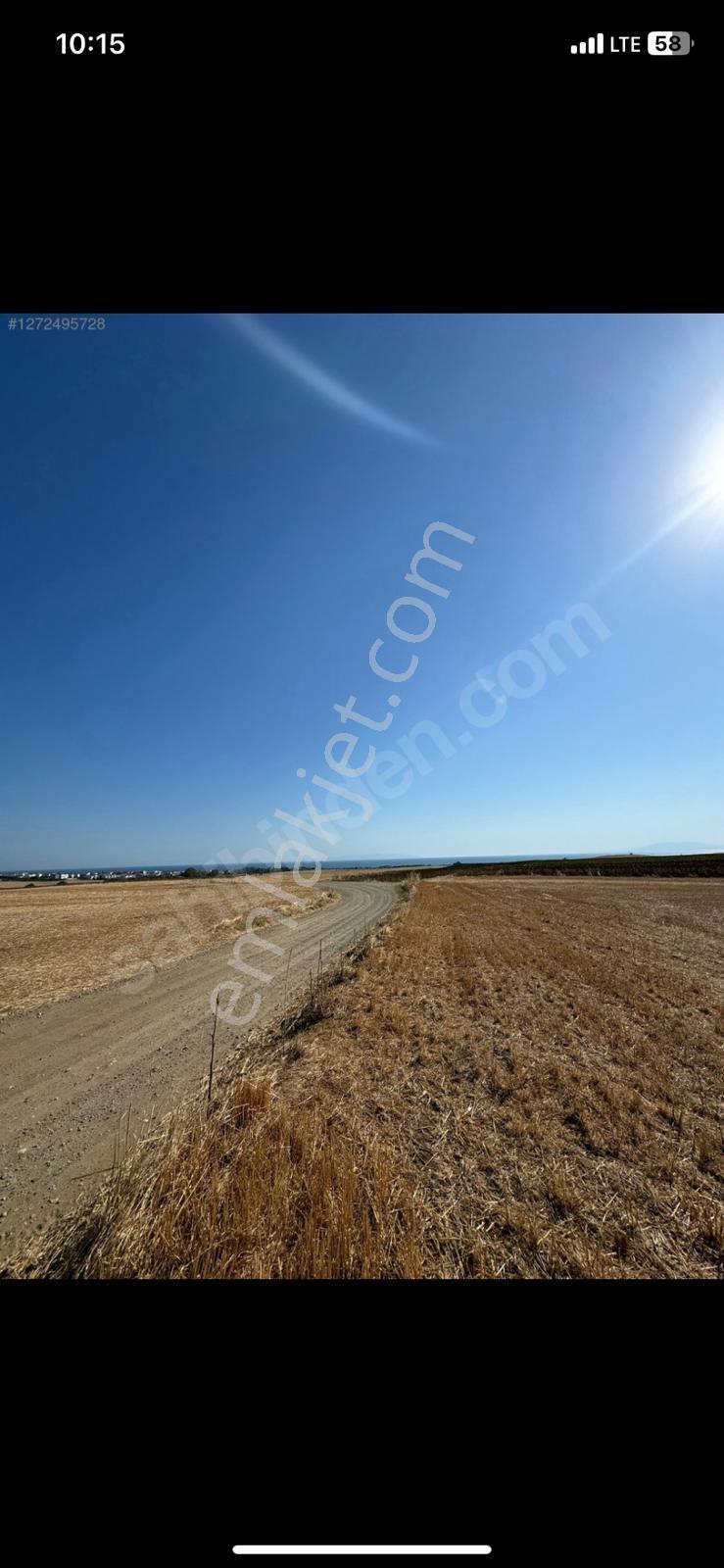 Çeşmelide Satılık 3 Adet Toplamda 847m2 Arsa Araç Takasına Açık - Görsel 3