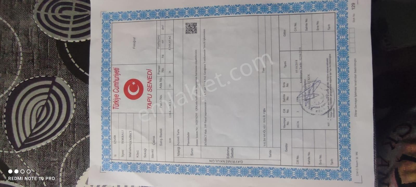 Turpa Lotustan Torbalı Demircide Satılık Zeytinlik - Görsel 2