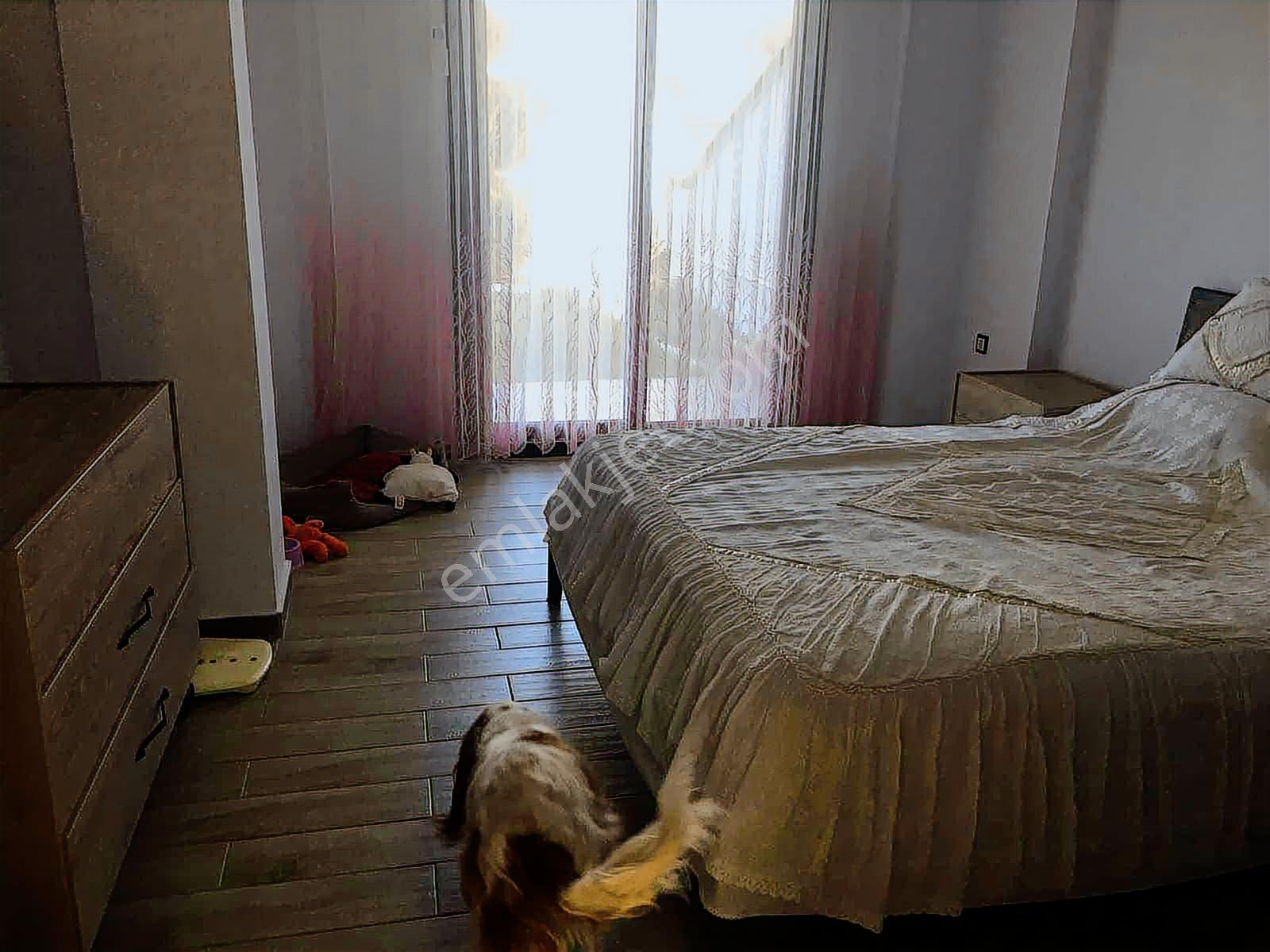 Güzelbahçe Yelki Kolejler Bölgesinde Bahçeli Tek Müstakil Villa - Görsel 28