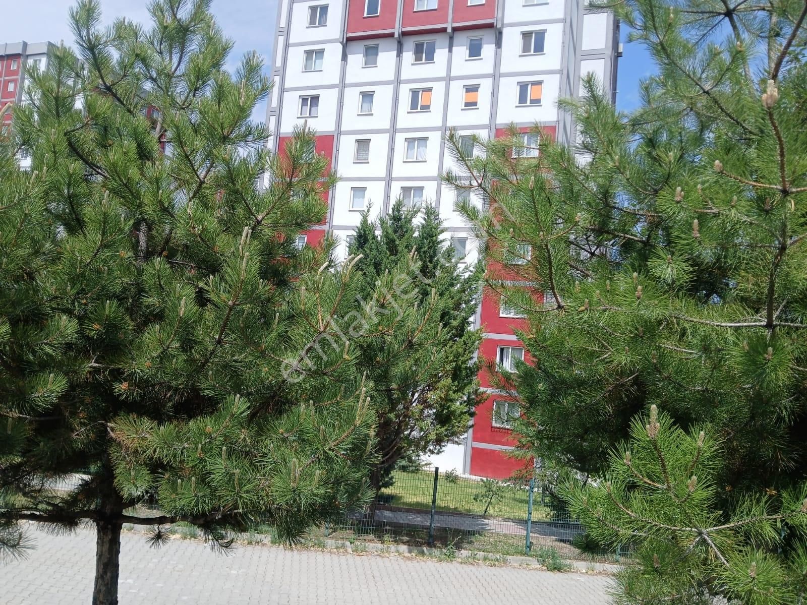 Polat Live'dan Eryaman Atakent Vadi Sitesinde 3+1