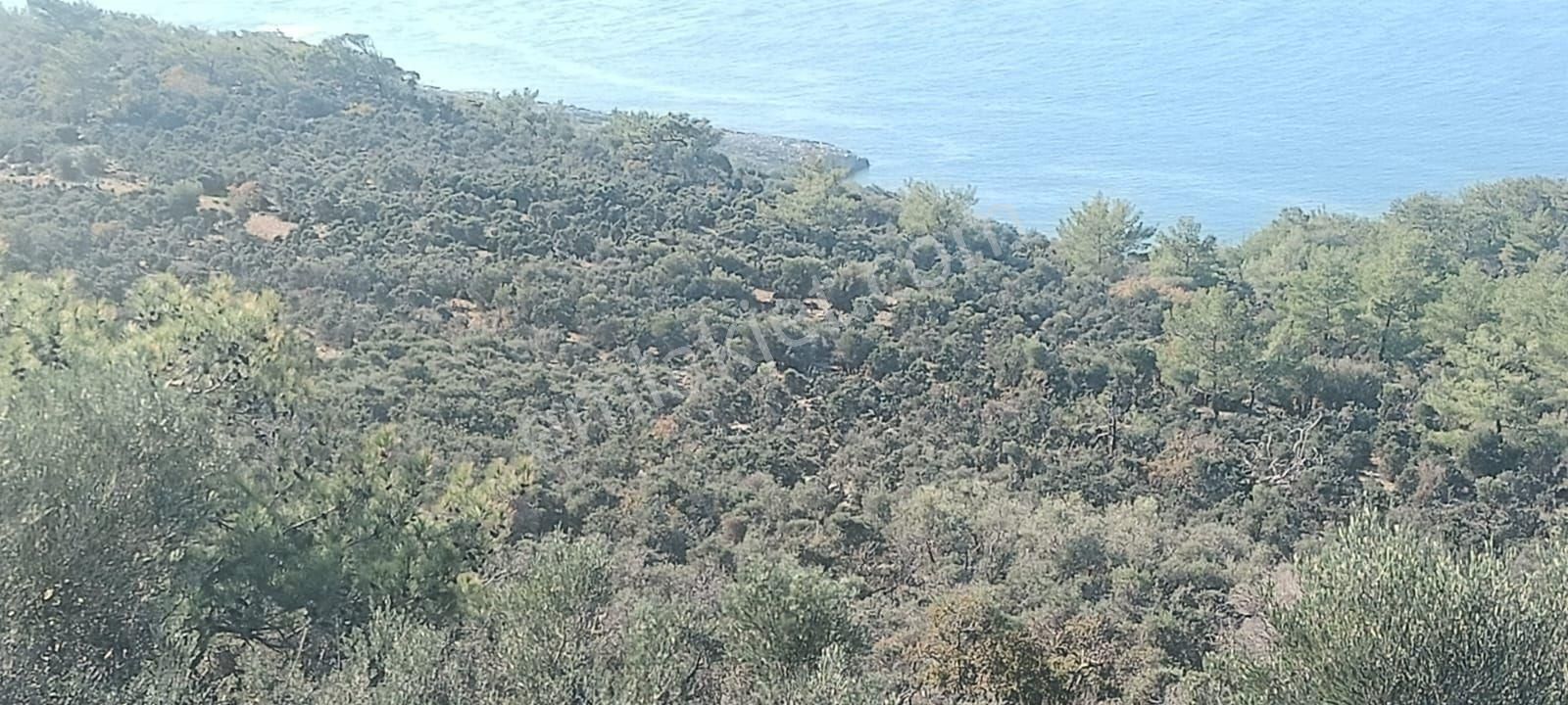 Aydıncık Emlaktan Satılık Tarla