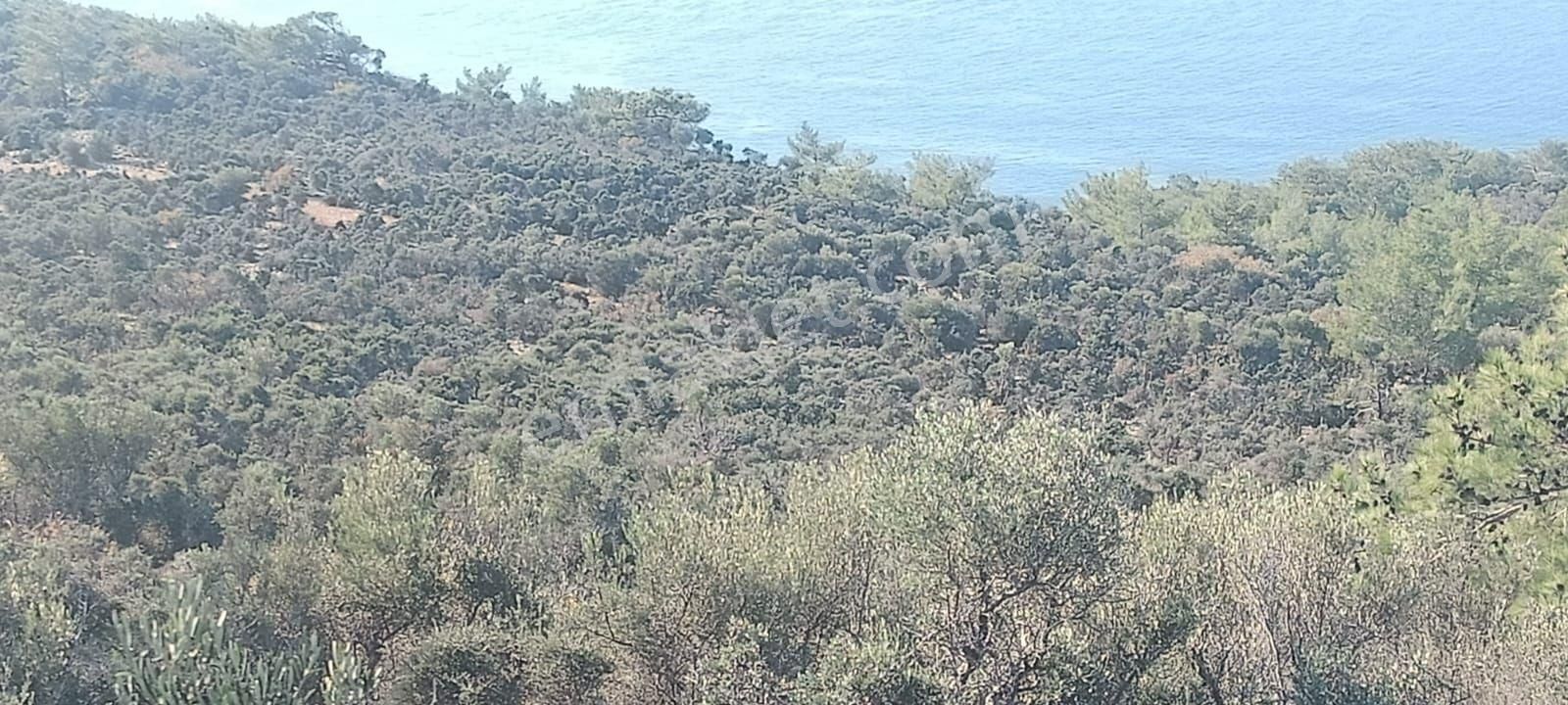 Aydıncık Emlaktan Satılık Tarla - Görsel 5