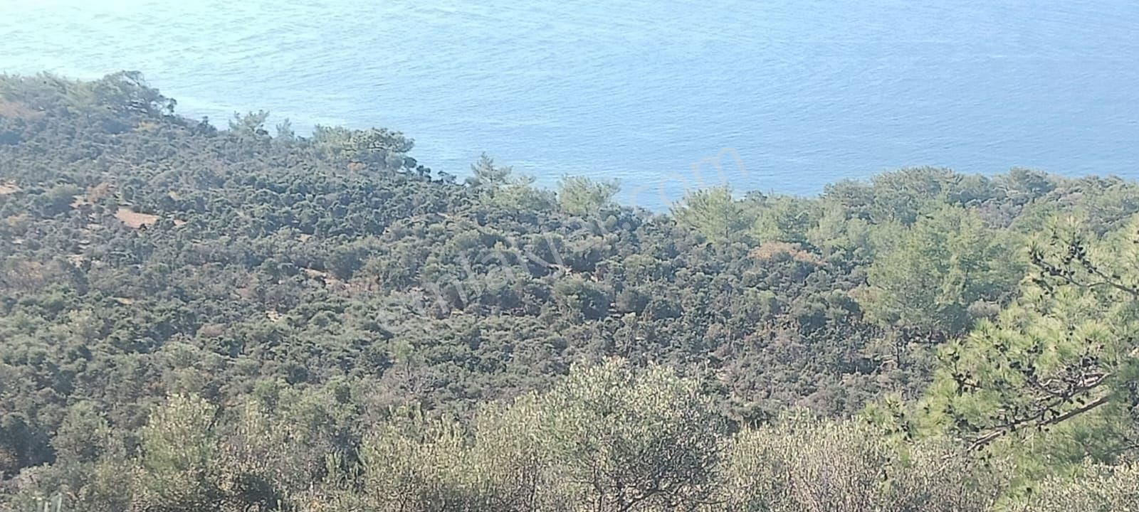 Aydıncık Emlaktan Satılık Tarla - Görsel 8