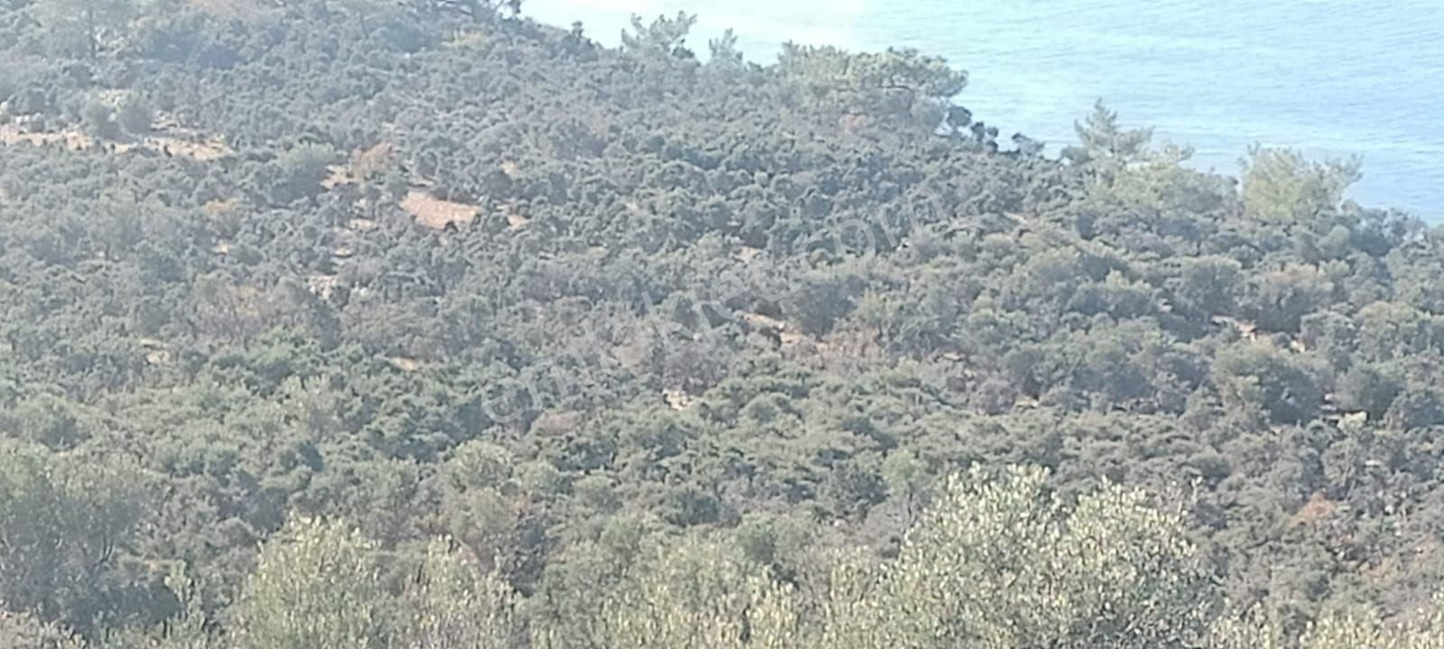 Aydıncık Emlaktan Satılık Tarla - Görsel 12