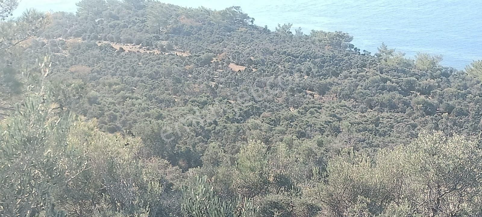 Aydıncık Emlaktan Satılık Tarla - Görsel 6