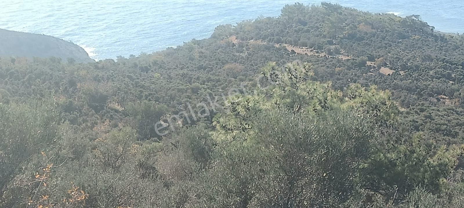 Aydıncık Emlaktan Satılık Tarla - Görsel 3