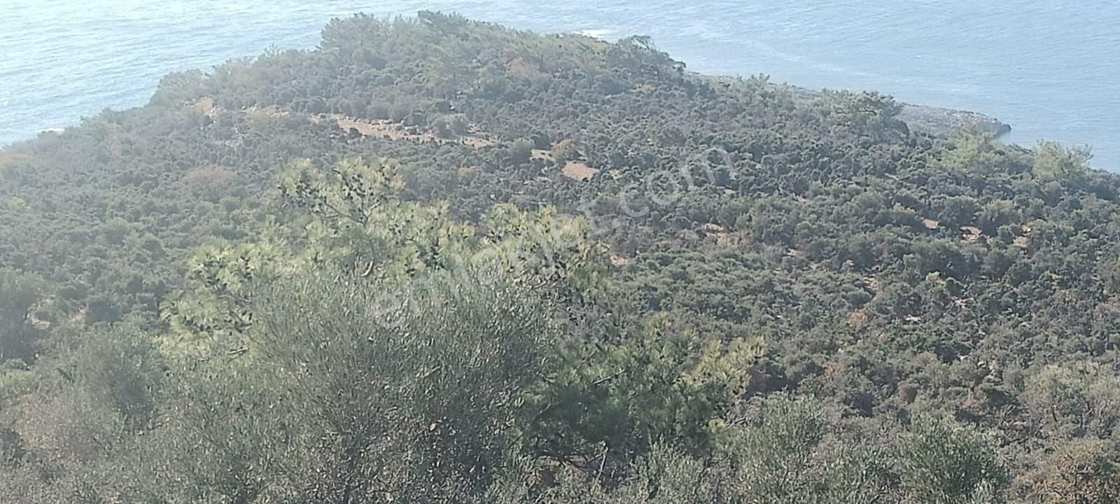 Aydıncık Emlaktan Satılık Tarla - Görsel 2