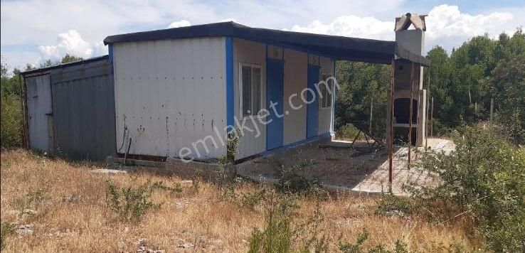 Menteşe Denizova'da Satılık 1207 M2 Tarla - Görsel 3