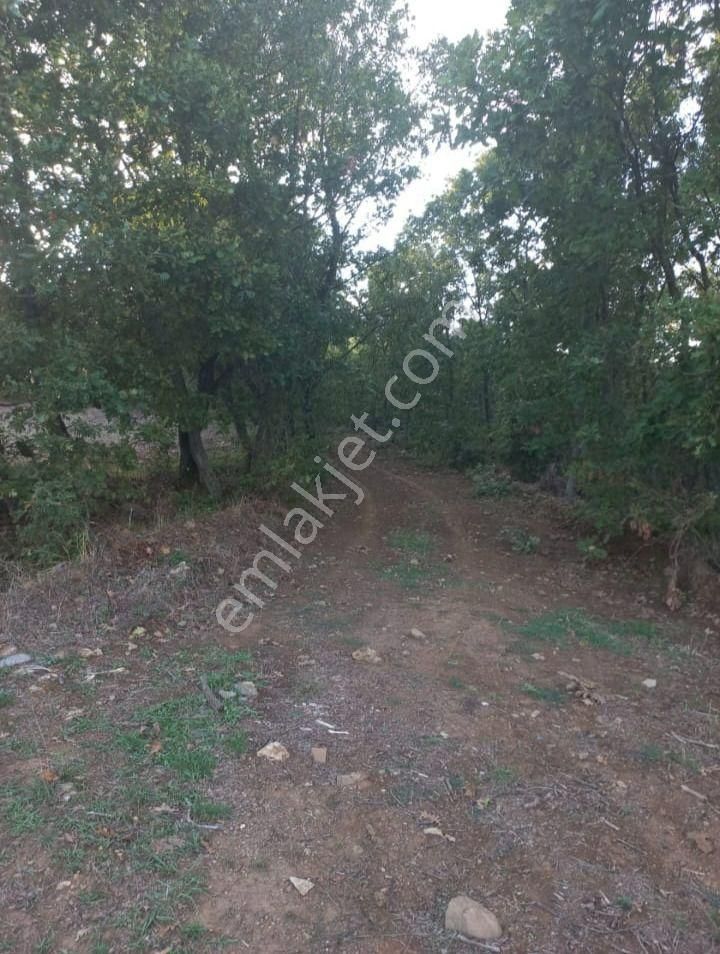 Çanakkale Çan Kocayayla Satılık Tarla - Görsel 5