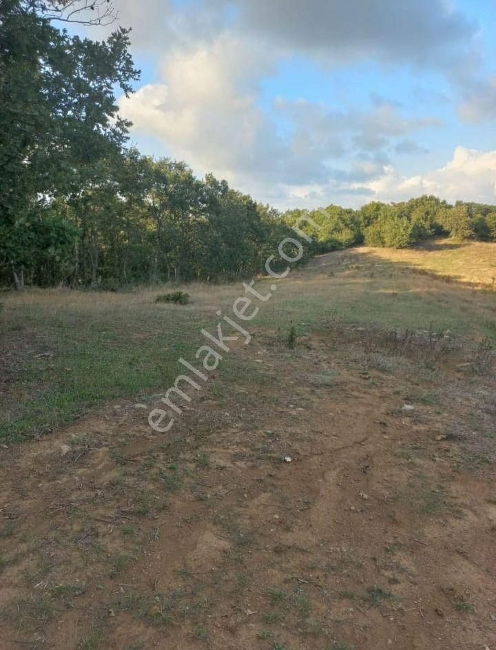 Çanakkale Çan Kocayayla Satılık Tarla - Görsel 7