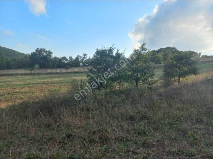 Çanakkale Çan Kocayayla Satılık Tarla - Görsel 8