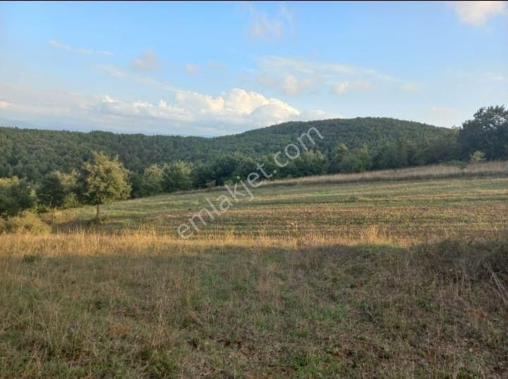 Çanakkale Çan Kocayayla Satılık Tarla