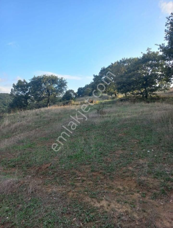 Çanakkale Çan Kocayayla Satılık Tarla - Görsel 6