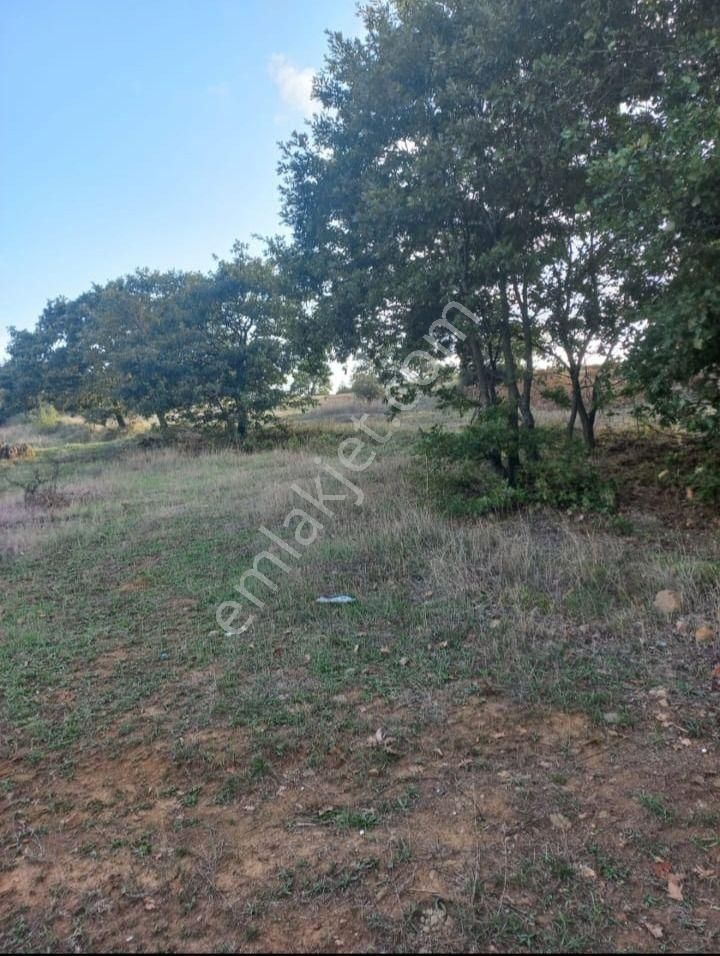 Çanakkale Çan Kocayayla Satılık Tarla - Görsel 4