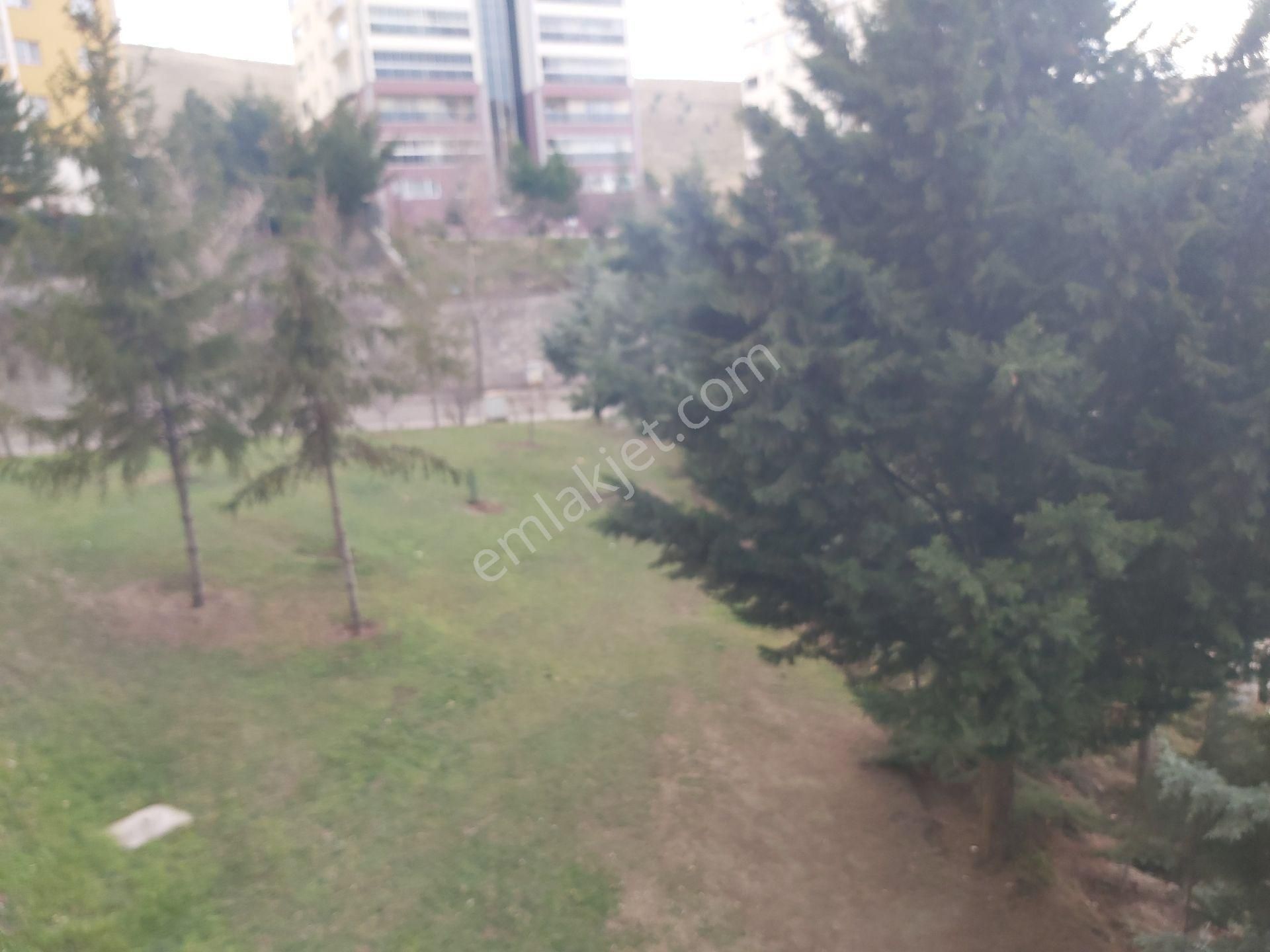 İlyap'tan Turkuaz Tokide Satılık Boş 3+1 - Görsel 3