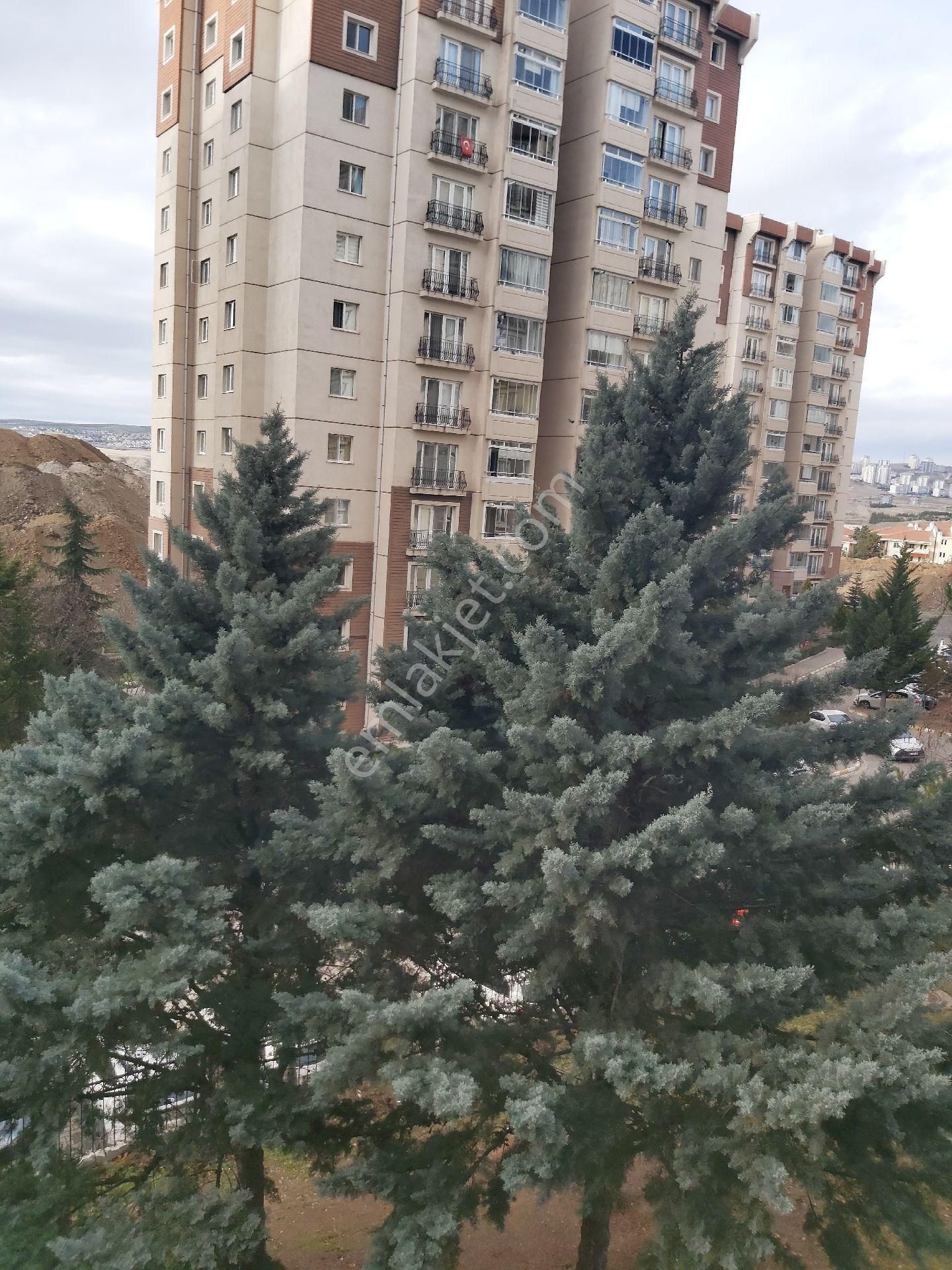 İlyap'tan Turkuaz Tokide Satılık Boş 3+1