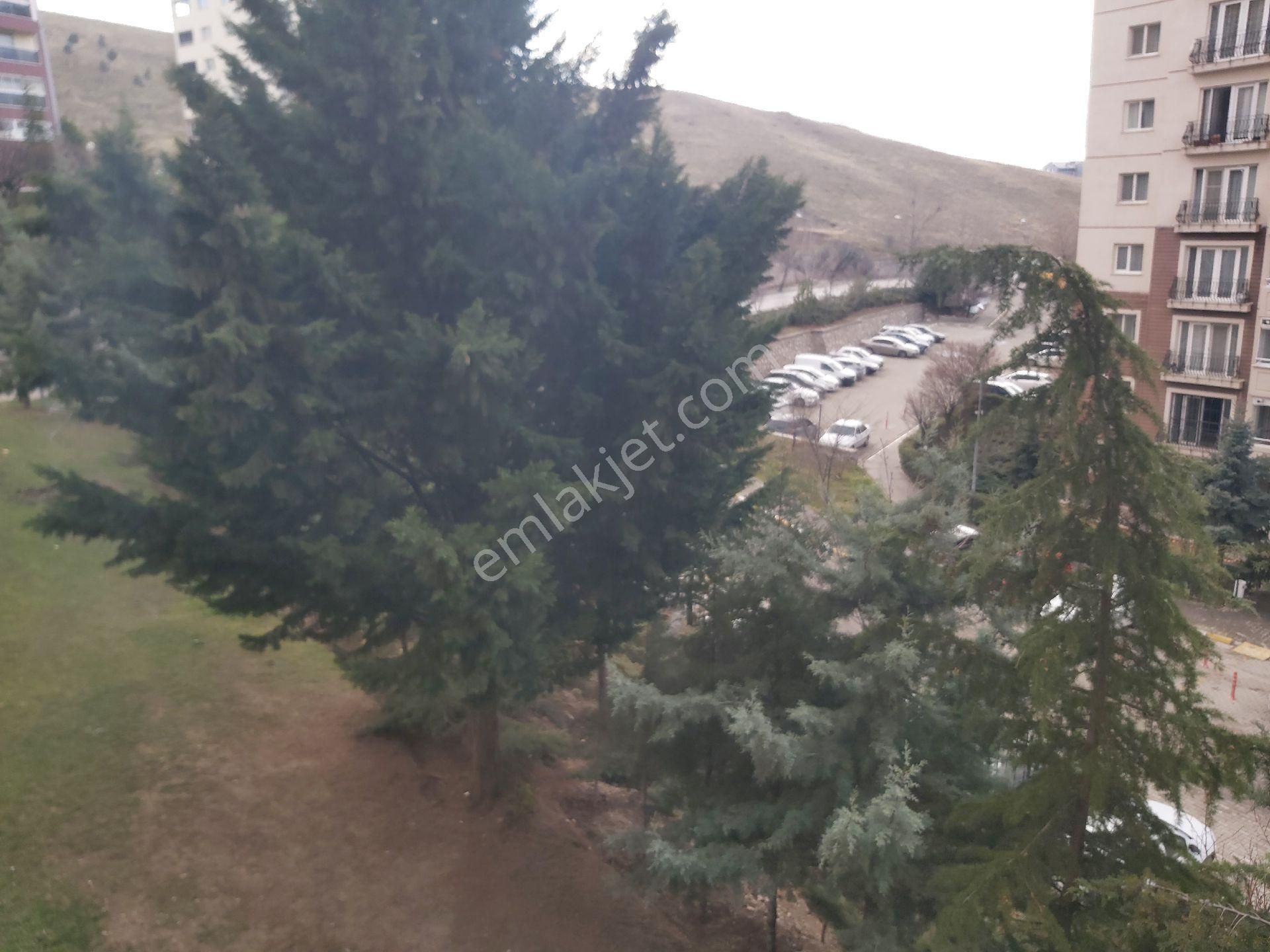 İlyap'tan Turkuaz Tokide Satılık Boş 3+1 - Görsel 4