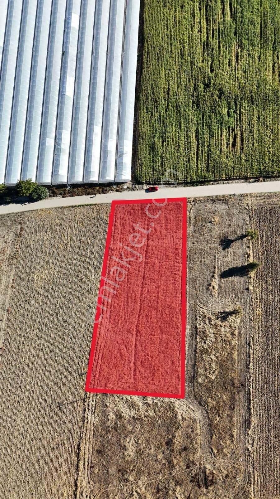 Korkuteli Yeşilyayla'da Satılık 2799m2 Tarla Elektrik Su Yol Var - Görsel 3