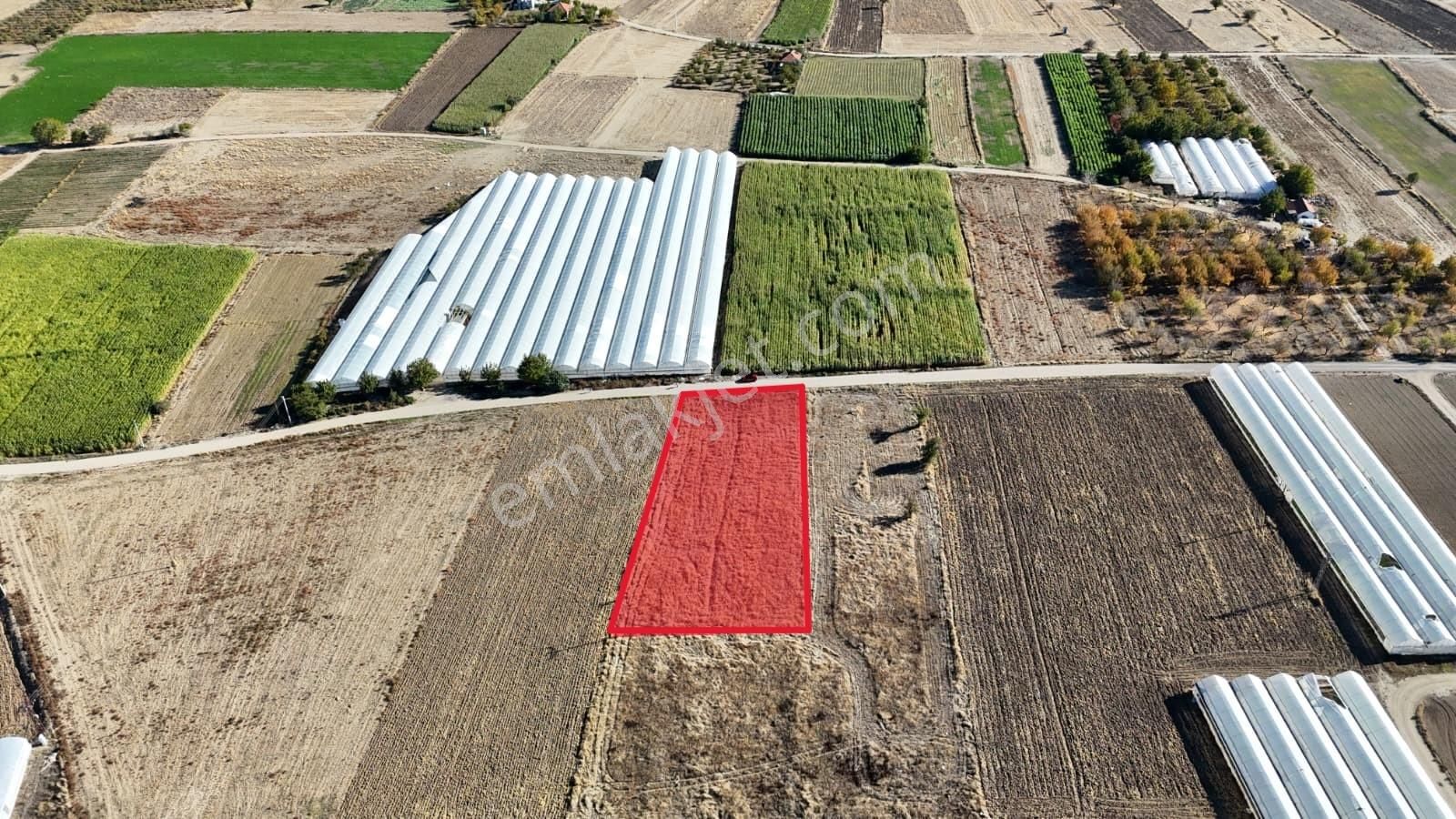 Korkuteli Yeşilyayla'da Satılık 2799m2 Tarla Elektrik Su Yol Var - Görsel 6