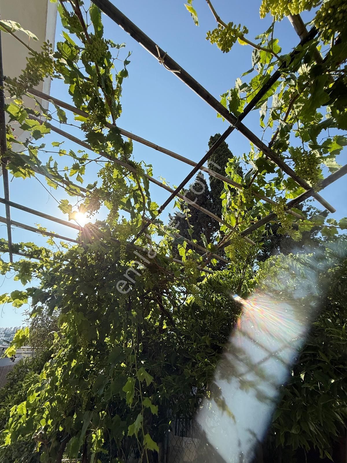 Gündoğan Küçükbük'te Denize 10 M Mesafede Kiralık Daire - Görsel 13