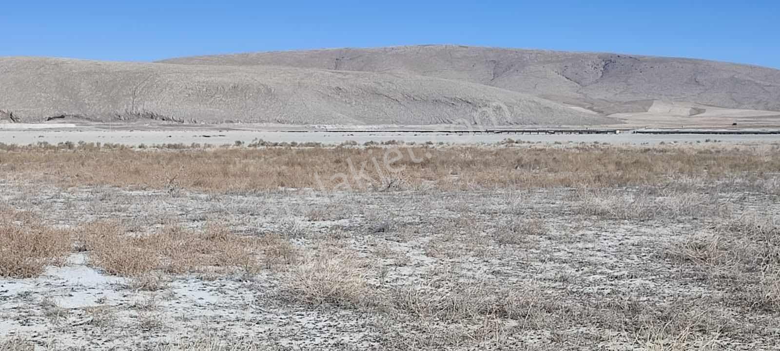Afyon Sultandağı Üçkuyu Civarında Satılık Tarlalar - Görsel 10