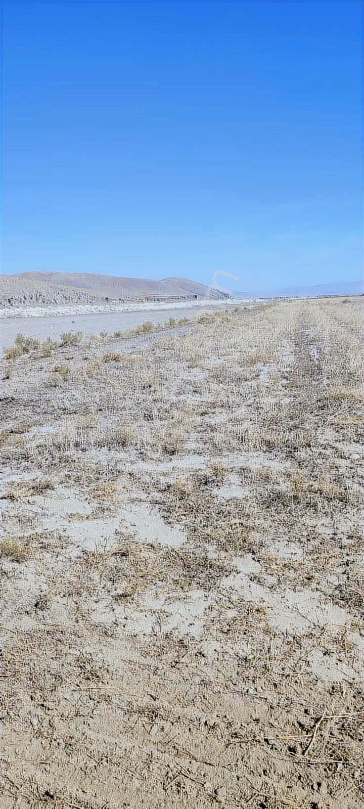 Afyon Sultandağı Üçkuyu Civarında Satılık Tarlalar - Görsel 5