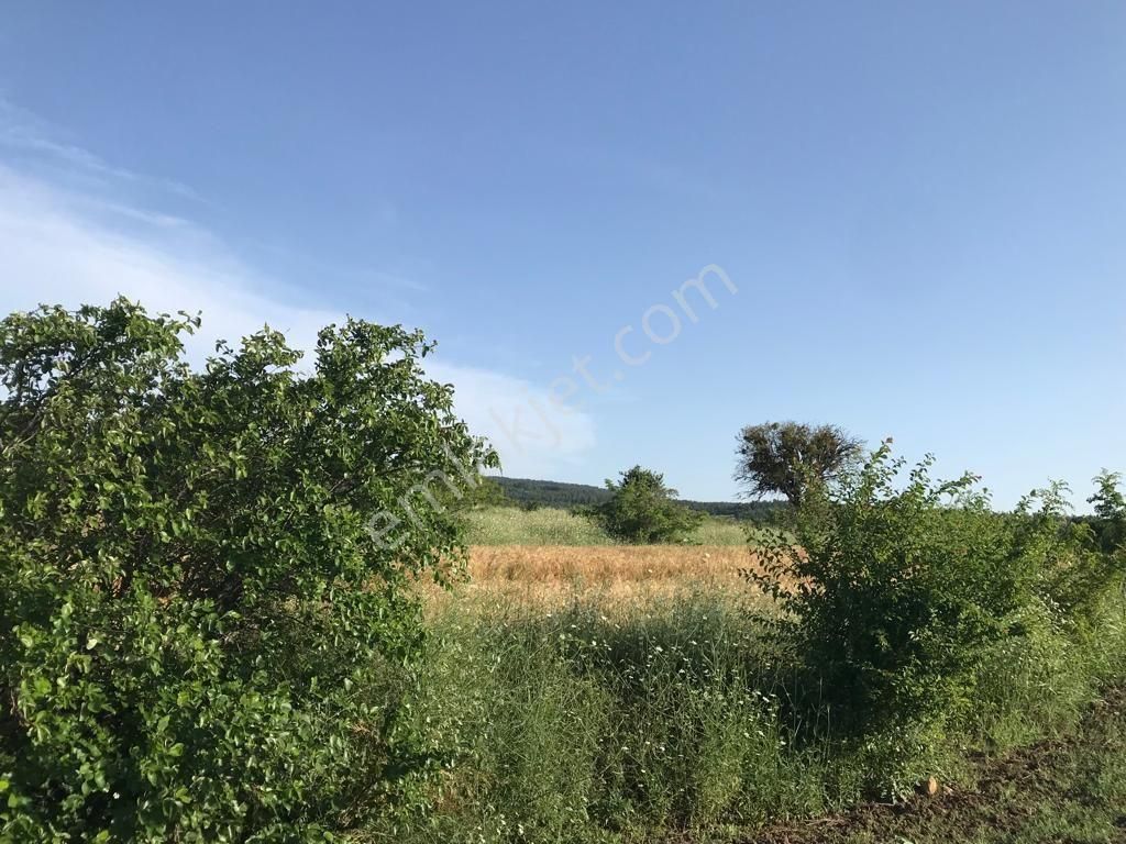 Çanakkale Lapseki Kocaveli' De 9660 M2 Boğaz Ve Köprü Manzaralı Satılık Tarla - Görsel 6