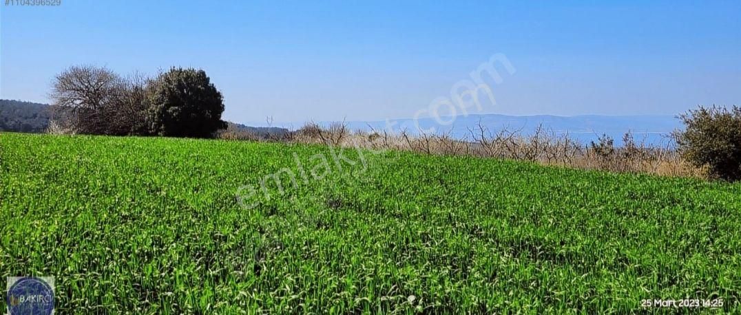 Çanakkale Lapseki Kocaveli' De 9660 M2 Boğaz Ve Köprü Manzaralı Satılık Tarla