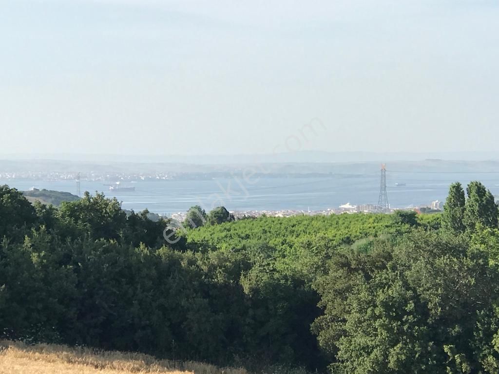 Çanakkale Lapseki Kocaveli' De 9660 M2 Boğaz Ve Köprü Manzaralı Satılık Tarla - Görsel 3