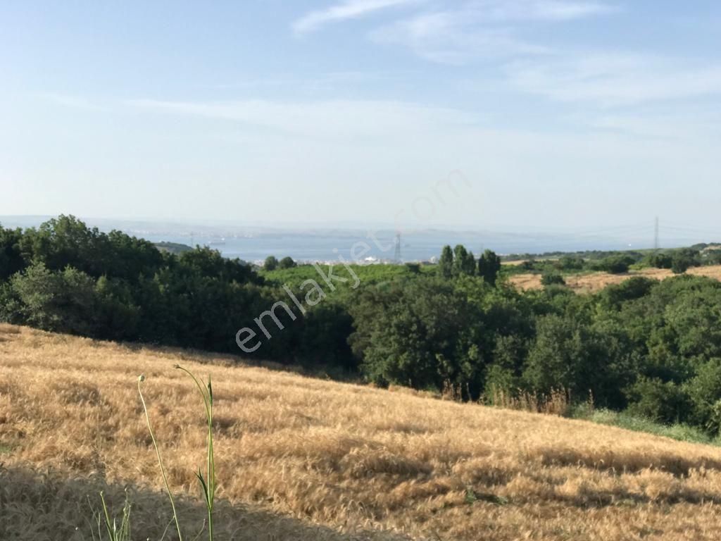 Çanakkale Lapseki Kocaveli' De 9660 M2 Boğaz Ve Köprü Manzaralı Satılık Tarla - Görsel 8