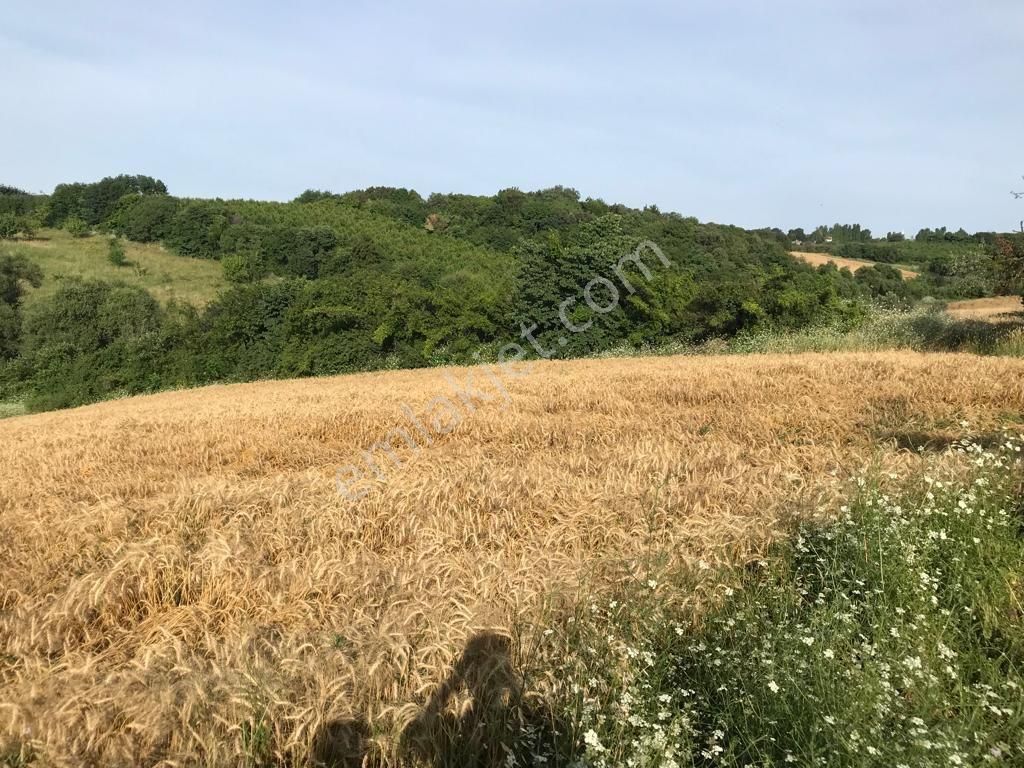Çanakkale Lapseki Kocaveli' De 9660 M2 Boğaz Ve Köprü Manzaralı Satılık Tarla - Görsel 5