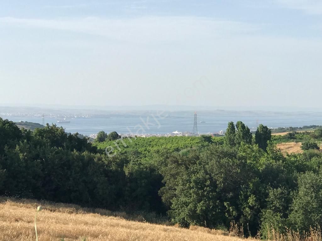 Çanakkale Lapseki Kocaveli' De 9660 M2 Boğaz Ve Köprü Manzaralı Satılık Tarla - Görsel 2