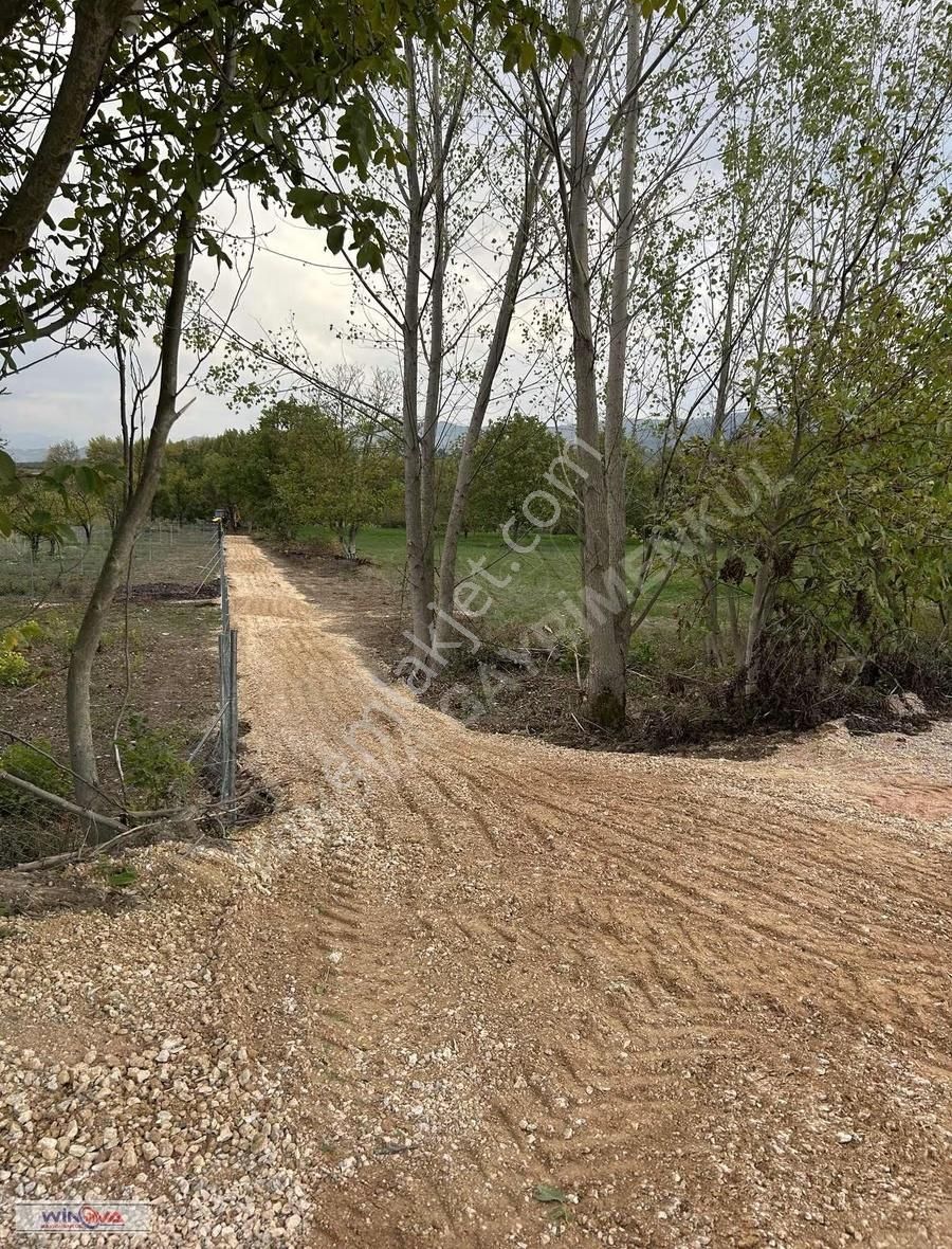 Winova | Mobilyum Avm Arkasında Akıncılar Köyünde Hobi Bahçeleri