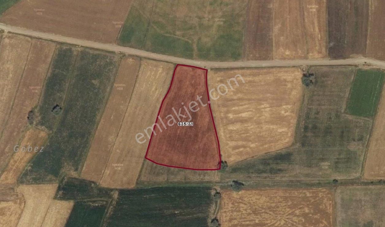 Burdur Çavdır'da Anayola Yakın 8278 M2 Sulak Tarla Seraya Uygun